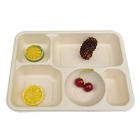 Food tray 5 grid